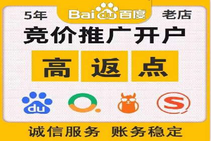 百度竞价排名：实战案例告诉你如何实现精准推广
